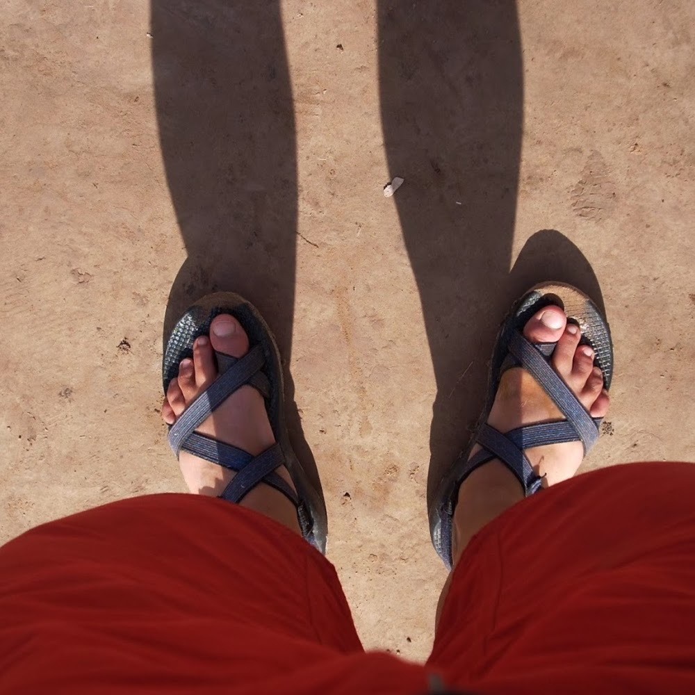 Meet your Posher, Lydia